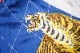TAILOR TOYO �ơ��顼���� ��������� Early 1950s Style Acetate �� Quilt Souvenir Jacket ��KOSHO & CO.�� Special Edition ��JAPAN MAP�� �� ��TIGER PRINT�� TT15198
