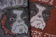 Schott ����å� Ĺµ�ԥ���� "COLOR FLOCKY BULLDOG LS T-SHIRT" 782-4230013