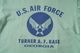 BUZZ RICKSON'S �Х��ꥯ���� Ĺµ T����� ��U.S. AIR FORCE�� BR69057