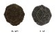 GLAD HAND ����åɥϥ��  ���㥹���å� "BY GLADHAND �Х�����åɥϥ��  ˹�� "BROOKLYN TWEED CASQUETTE" BYGH-20-AW-G02��2020AW���쥯�����