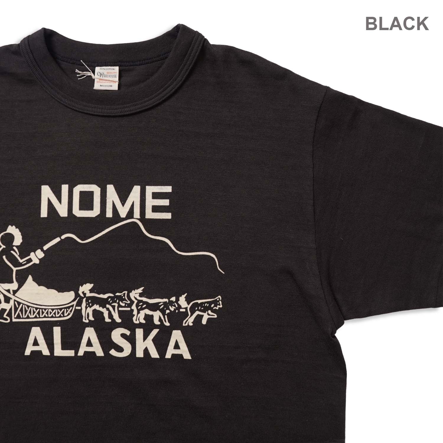 WAREHOUSE �������ϥ��� Ⱦµ T����� Lot 4601 "NOME" 4601-NOME(26SS)