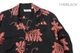 SUN SURF 󥵡 Ĺµ ϥ "CORAL HIBICUS"  SS29402