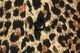 STYLE EYES �������륢���� Ĺµ ����� FLANNEL SPORT SHIRT  ��LEOPARD��PLAIN�� SE29576