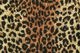STYLE EYES �������륢���� Ĺµ ����� FLANNEL SPORT SHIRT  ��LEOPARD��PLAIN�� SE29576
