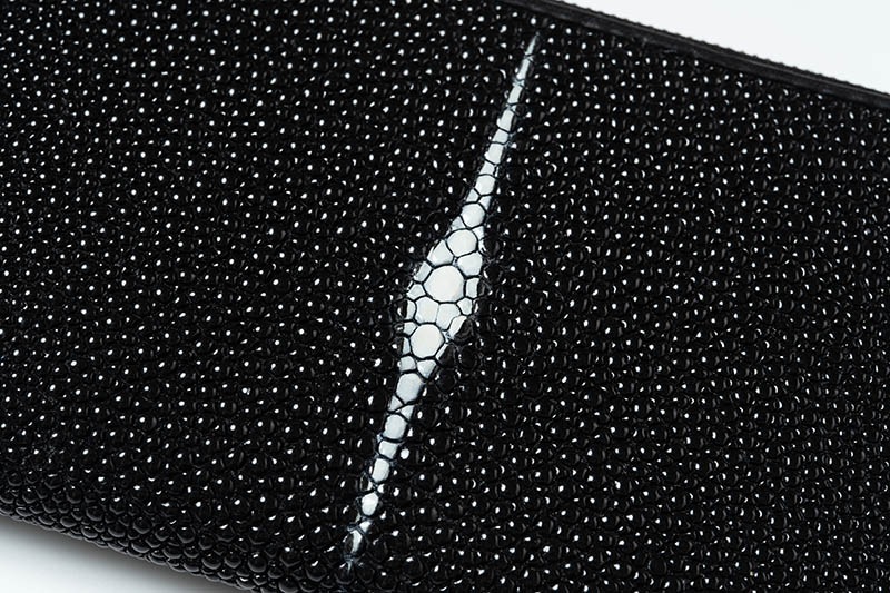 RAISE �쥤�� ���󥰥�����å� ������ ���ƥ��󥰥쥤 ST-LZ-LW