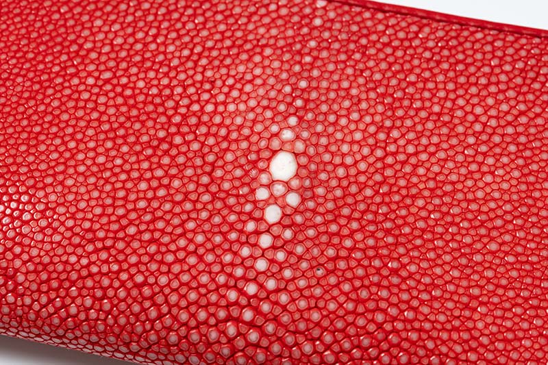 RAISE �쥤�� ���󥰥�����å� ������ ���ƥ��󥰥쥤 ST-LZ-LW