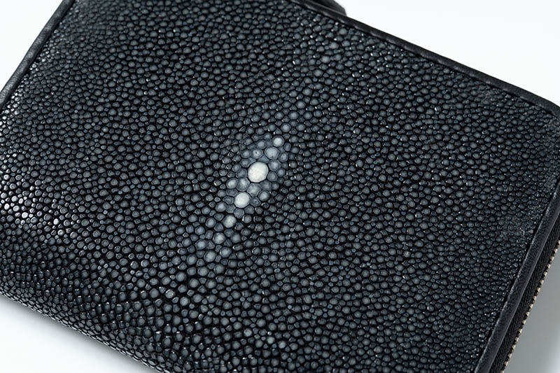 RAISE �쥤�� ����ѥ��ȥ�����å� ������ ���ƥ��󥰥쥤 ST-LZ-SW