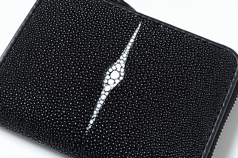 RAISE �쥤�� ����ѥ��ȥ�����å� ������ ���ƥ��󥰥쥤 ST-LZ-SW