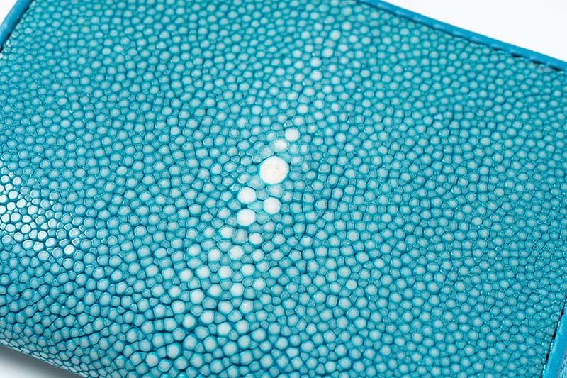 RAISE �쥤�� ����ѥ��ȥ�����å� ������ ���ƥ��󥰥쥤 ST-LZ-SW