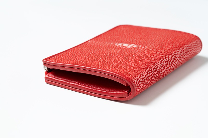 RAISE �쥤�� ����ѥ��ȥ�����å� ������ ���ƥ��󥰥쥤 ST-LZ-SW