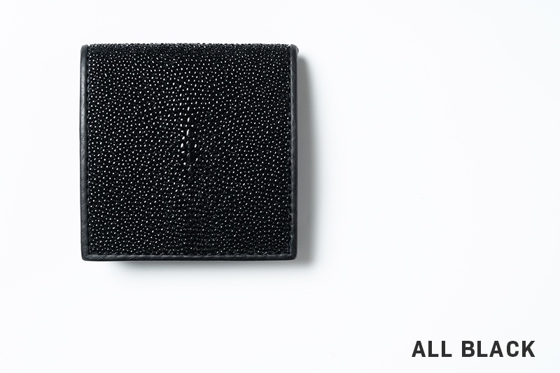 RAISE �쥤�� �����󥱡��� ������ ���ƥ��󥰥쥤 ST-BOX-CC