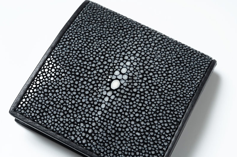 RAISE �쥤�� �����󥱡��� ������ ���ƥ��󥰥쥤 ST-BOX-CC