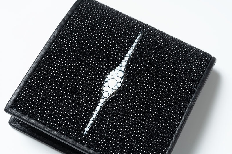 RAISE �쥤�� �����󥱡��� ������ ���ƥ��󥰥쥤 ST-BOX-CC