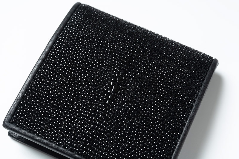 RAISE �쥤�� �����󥱡��� ������ ���ƥ��󥰥쥤 ST-BOX-CC