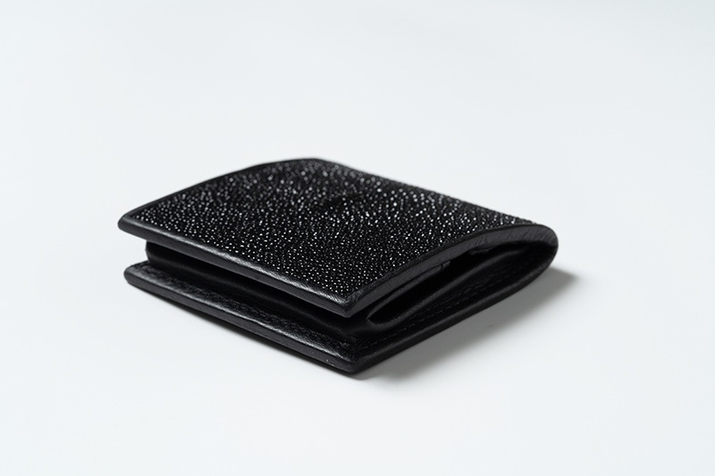 RAISE �쥤�� �����󥱡��� ������ ���ƥ��󥰥쥤 ST-BOX-CC