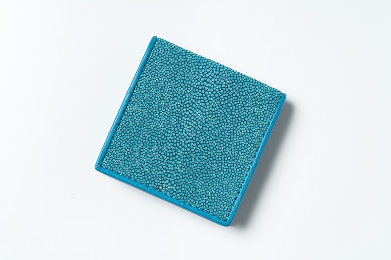 RAISE �쥤�� �����󥱡��� ������ ���ƥ��󥰥쥤 ST-BOX-CC