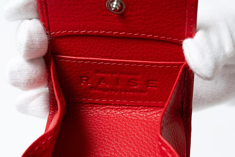 RAISE �쥤�� �����󥱡��� ������ ���ƥ��󥰥쥤 ST-BOX-CC