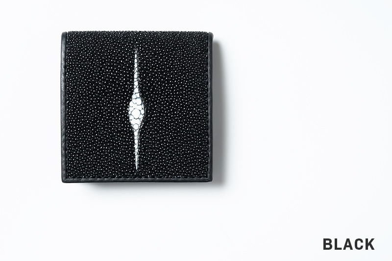 RAISE �쥤�� �����󥱡��� ������ ���ƥ��󥰥쥤 ST-BOX-CC