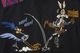 VANSON �Х󥽥� Ĺµ T����� "LOONEY TUNES ����� ŷ�� ĹµT�����"  LTV-2509