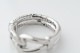 Flea Anthony Design �ե꡼���󥽥ˡ��ǥ����� ��� �ץ���ʥ����ƥ��� FAD PTC-R-11