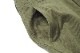 JELADO �����顼�� �ѥ�� "41 Khaki Lastresort Chino Cloth Stencil" AG94341B-OL