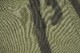 JELADO �����顼�� �ѥ�� "41 Khaki Lastresort Chino Cloth Stencil" AG94341B-OL