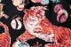 SUN SURF ���󥵡��� Ĺµ�����ϥ���� 2023 ������������ ��TIGER DANCING�� SS29047RG