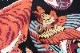 SUN SURF ���󥵡��� Ĺµ�����ϥ���� 2023 ������������ ��TIGER DANCING�� SS29047RG