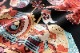 SUN SURF ���󥵡��� Ĺµ�����ϥ���� 2023 ������������ ��TIGER DANCING�� SS29047RG