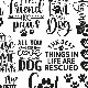 ž�̻� ��Dog&Cat Word-�ɥå�&����åȥ�ɡ� A4