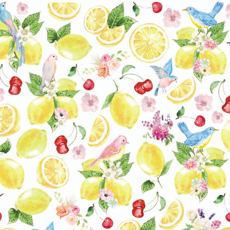ž�̻� ��Lemon-����� A4