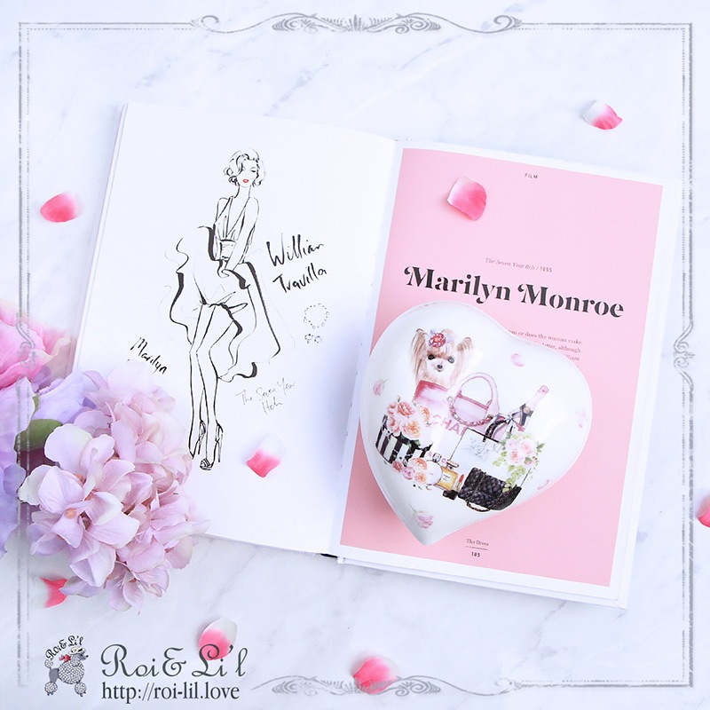 ����ƥꥢ�����륢����ž�̻� ��Celeb Dogs�� A3