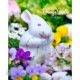 ž�̻� ��Blooming rabbit�� A4