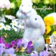 ž�̻� ��Blooming rabbit�� A4