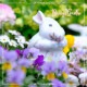 ž�̻� ��Blooming rabbit�� A4