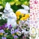 ž�̻� ��Blooming rabbit�� A4