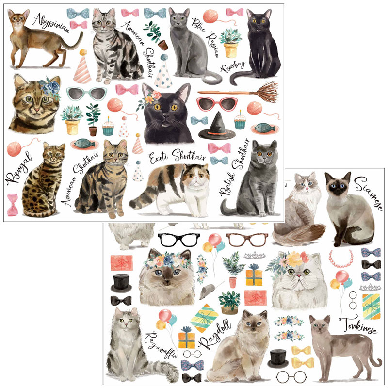 �ڤ������å�����ۥ��饹��ž�̻��CAT LOVER A&B�١ڥ����ƥ��оݾ��ʡ�