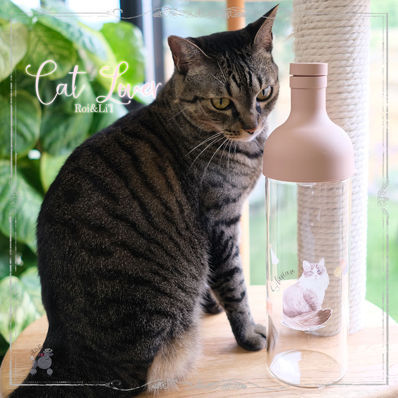 �ڤ������å�����ۥ��饹��ž�̻��CAT LOVER A&B�١ڥ����ƥ��оݾ��ʡ�
