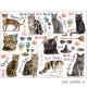 �ڤ������å�����ۥ��饹��ž�̻��CAT LOVER A&B�١ڥ����ƥ��оݾ��ʡ�