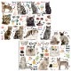 �ڤ������å�����ۥ��饹��ž�̻��CAT LOVER A&B�١ڥ����ƥ��оݾ��ʡ�