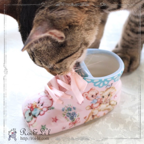 ž�̻� ��Dream Animal2-�ɥ꡼�ॢ�˥ޥ�2�� A4