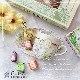 ž�̻� ��MIMOSA CANARIA-�ߥ⥶���ʥꥢ ��A3