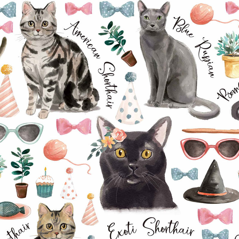 ž�̻��CAT LOVER A&B�� A4 �ڥ����ƥ����ʡ�