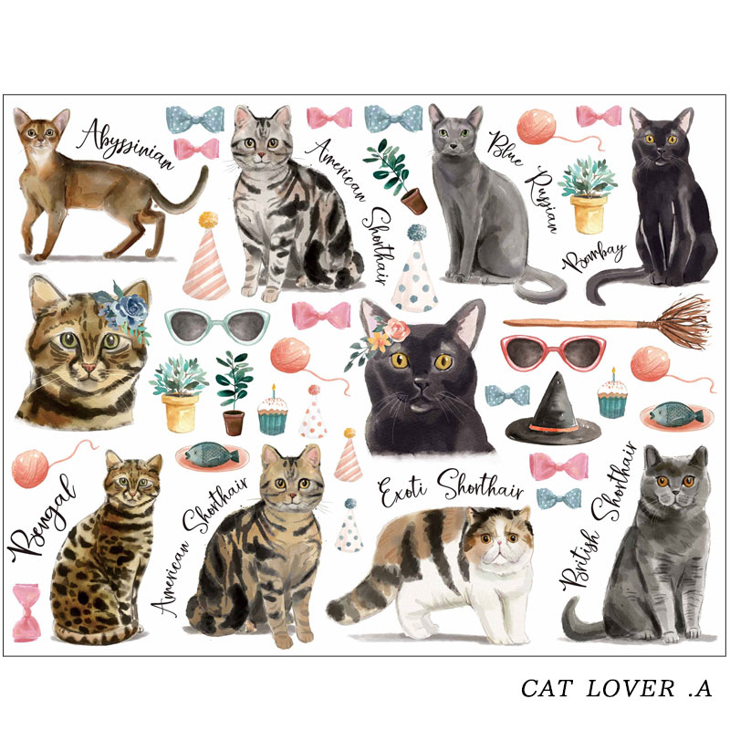 ž�̻��CAT LOVER A&B�� A4 �ڥ����ƥ����ʡ�
