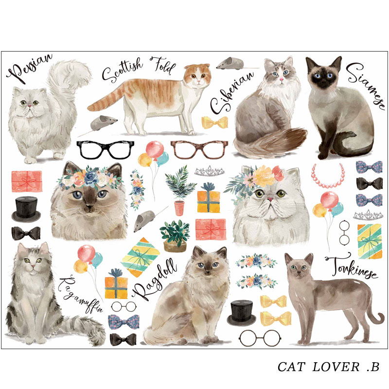 ž�̻��CAT LOVER A&B�� A4 �ڥ����ƥ����ʡ�