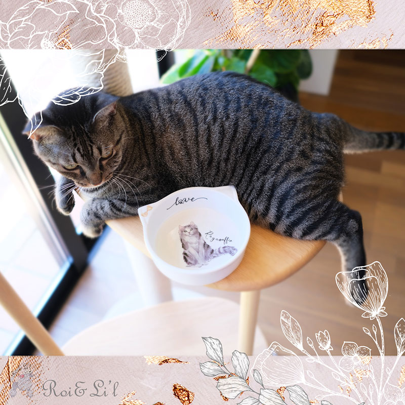 ž�̻��CAT LOVER A&B�� A4 �ڥ����ƥ����ʡ�