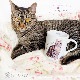 ž�̻��CAT LOVER A&B�� A4 �ڥ����ƥ����ʡ�