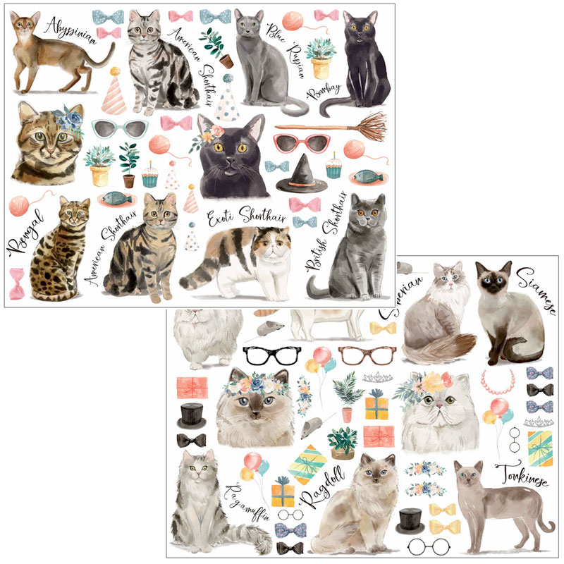 �ڤ������åȡ�ž�̻��CAT LOVER A&B��  ���å�����