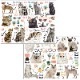 �ڤ������åȡ�ž�̻��CAT LOVER A&B��  ���å�����