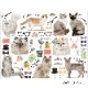 �ڤ������åȡ�ž�̻��CAT LOVER A&B��  ���å�����